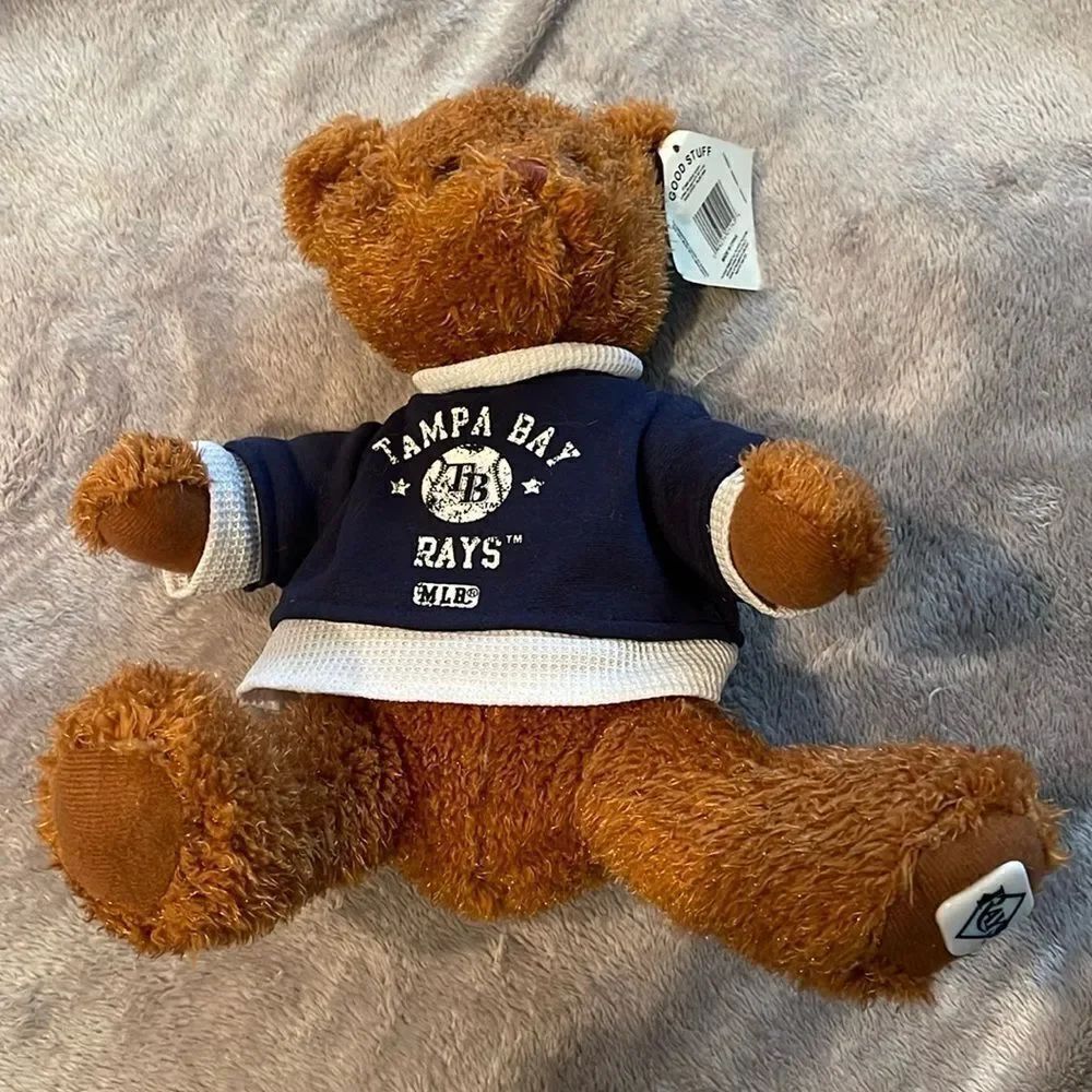 Tampa Bay rays teddy bear